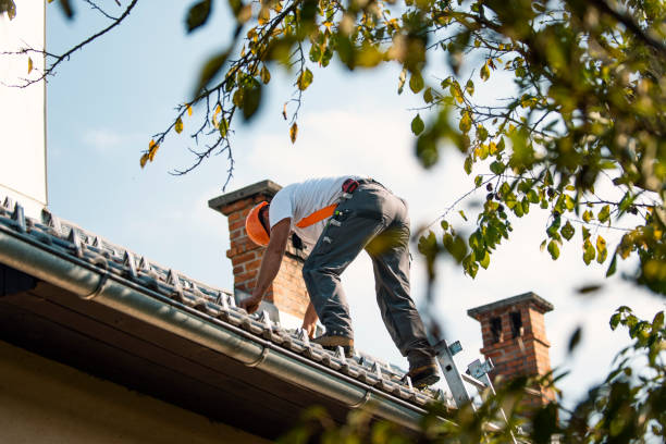 Best Roof Repair Services  in Ladoga, IN