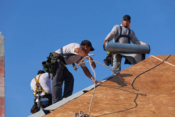 Best Emergency Roof Repair  in Ladoga, IN